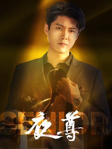 夜尊全集(大结局)