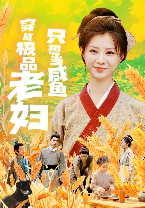 穿成极品老妇只想当咸鱼全集(大结局)