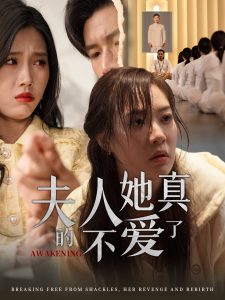 夫人她真的不爱了全集(大结局)